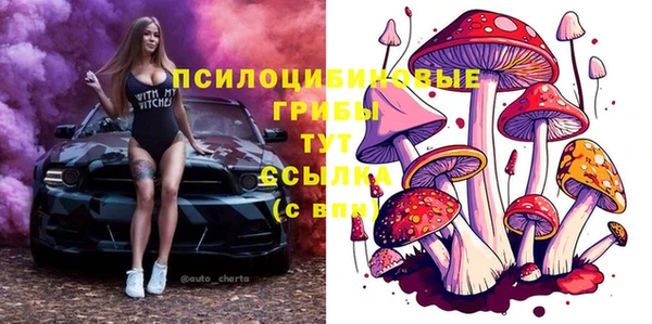 первитин Беломорск