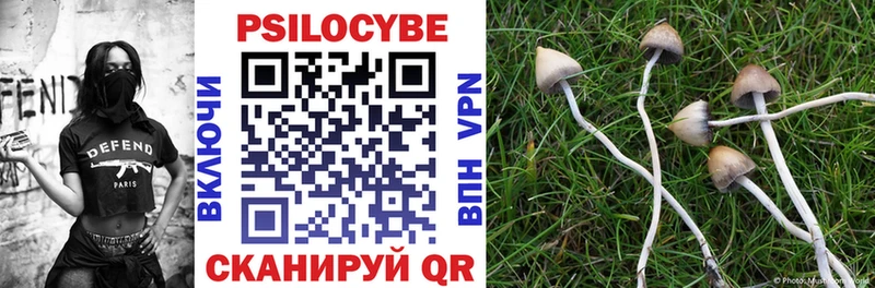 Псилоцибиновые грибы мицелий  Реутов 